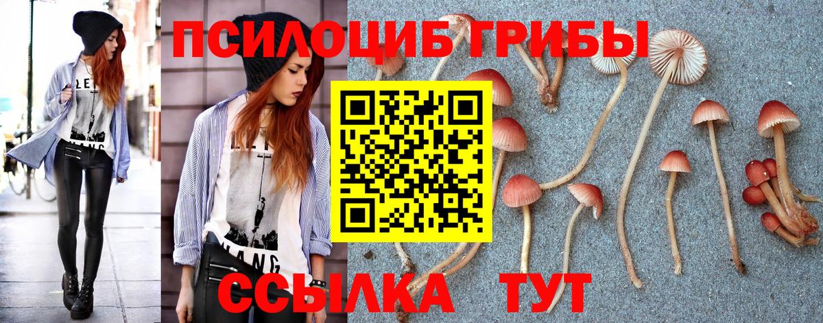 Галлюциногенные грибы Psilocybe Воркута