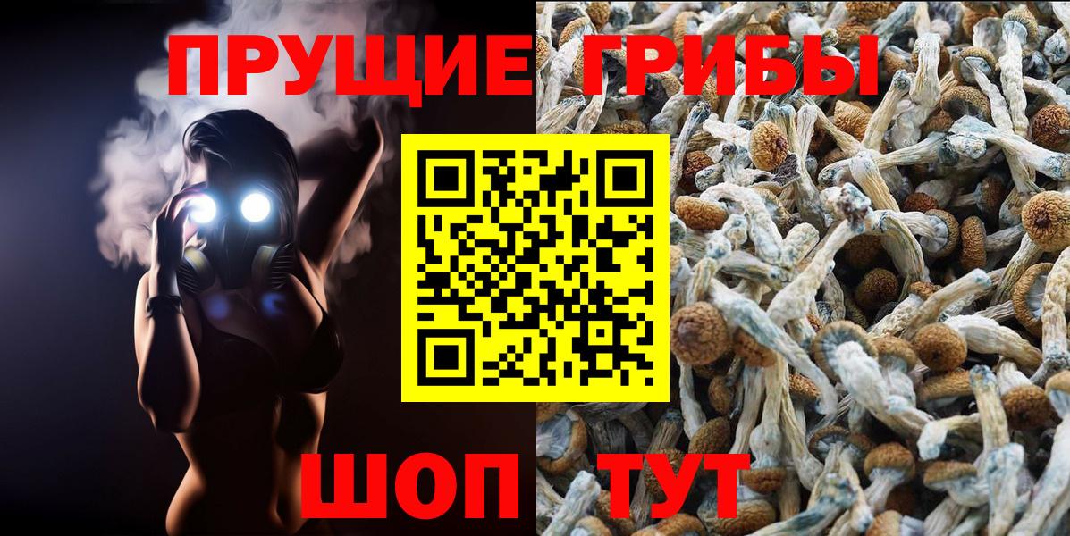Воркута  Псилоцибиновые грибы Psilocybe  Вход с VPN 